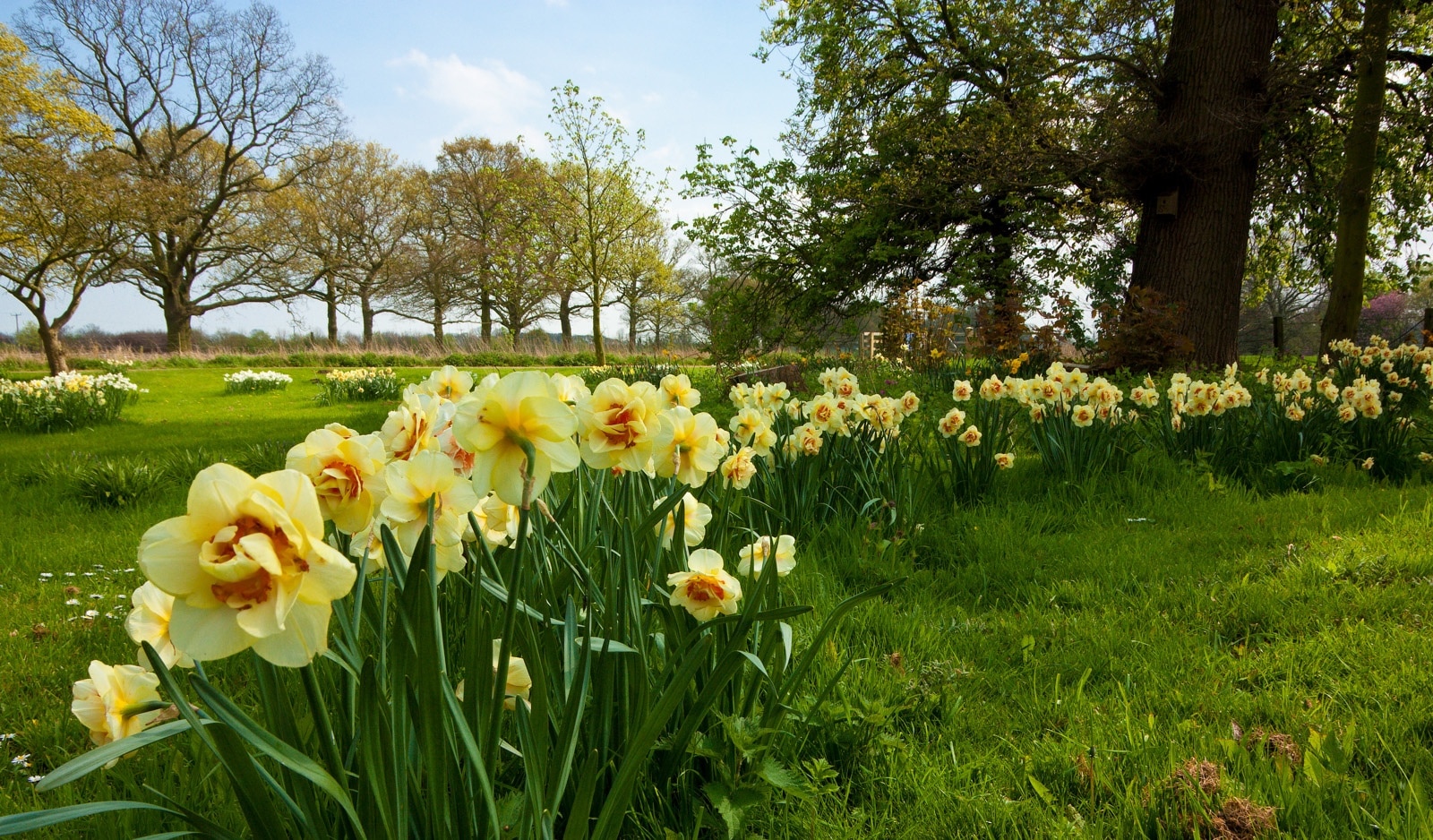 "Burton Constable"-foto av Paul Lakin (CC BY) / Urklipp från original