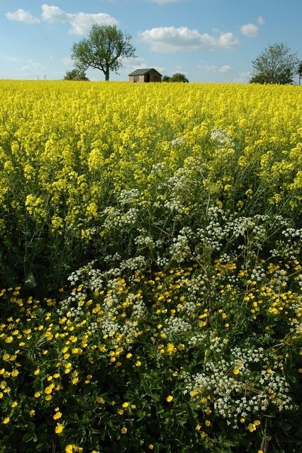 Billede "Sevenhampton" af Philip Halling (CC BY-SA) / beskåret fra det originale billede