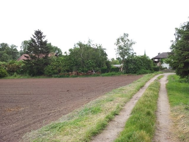 Feldweg am Ortsrand Bellheims