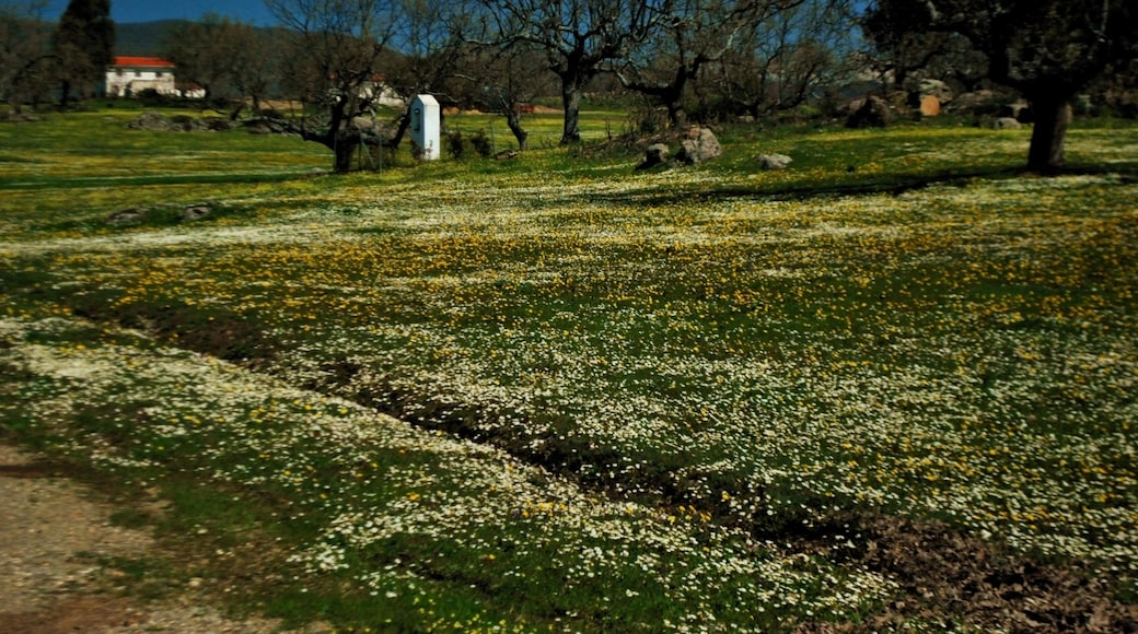 Malpartida de Plasencia, Extremadura, Spain