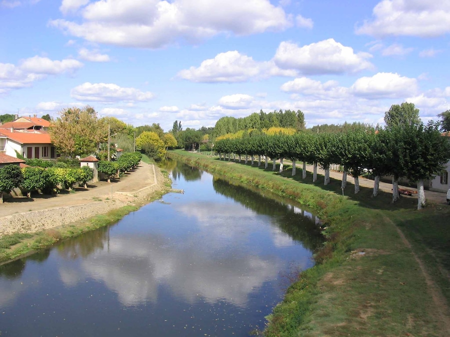 Musing River