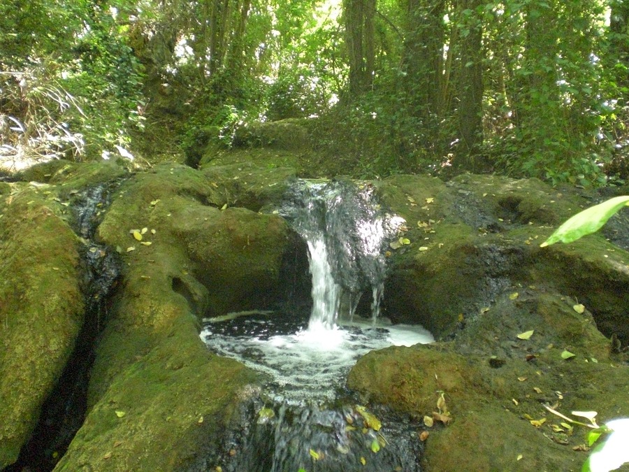 El transcurrir del agua.