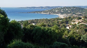 Nartelle, view on Ste. Maxime