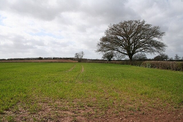 Billede "Chaceley" af Bob Embleton (CC BY-SA) / beskåret fra det originale billede