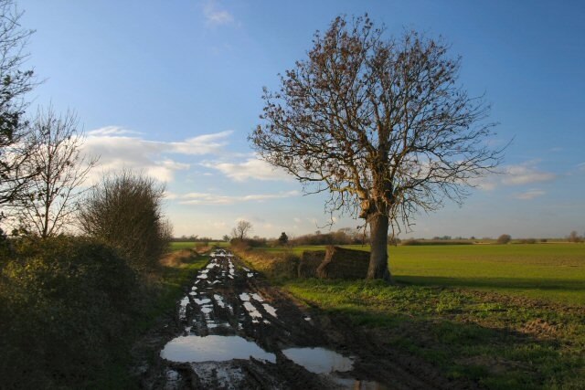 Photo "Witcham" by Bob Jones (CC BY-SA) / Cropped from original