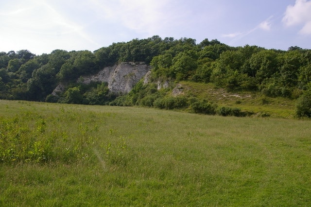 Betchworth Quarry Now being restored as chalk grassland (managed by the Surrey Wildlife Trust), following many years of landfill.