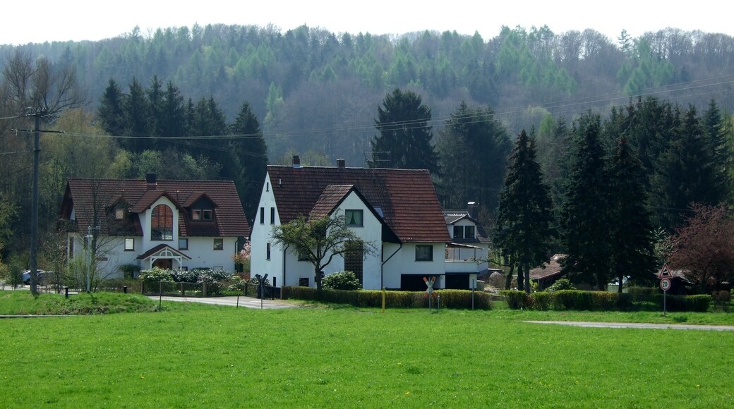 Kuva ”Königshofen an der Kahl” käyttäjältä Freak-Line-Community (CC BY-SA) / rajattu alkuperäisestä kuvasta