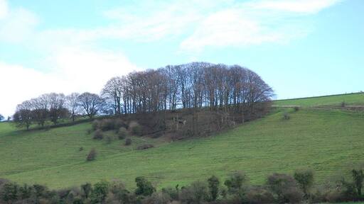 Foto “Compton Chamberlayne” tomada por Toby (CC BY-SA); recorte de la original