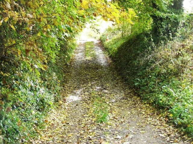 Photo "Bagendon" by norman hyett (CC BY-SA) / Cropped from original