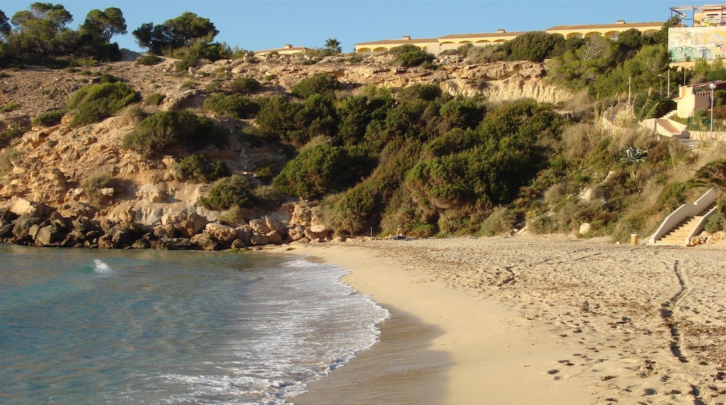 Foto "Playa Cala Tarida" por anibal amaro (CC BY) / Recortada de la original