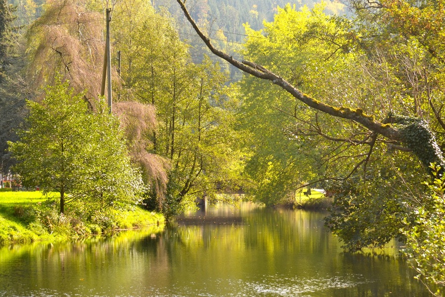 Enz river.