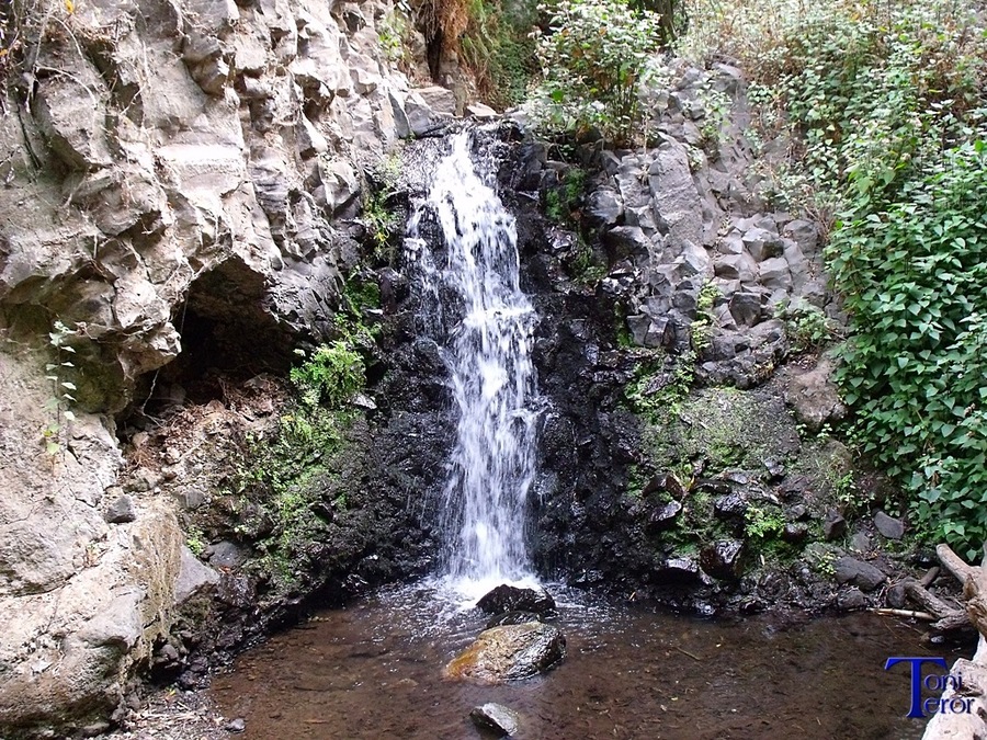 Cayendo agua en una charca 2
