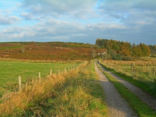 Farm track and fields east of Craggie Cat Hill