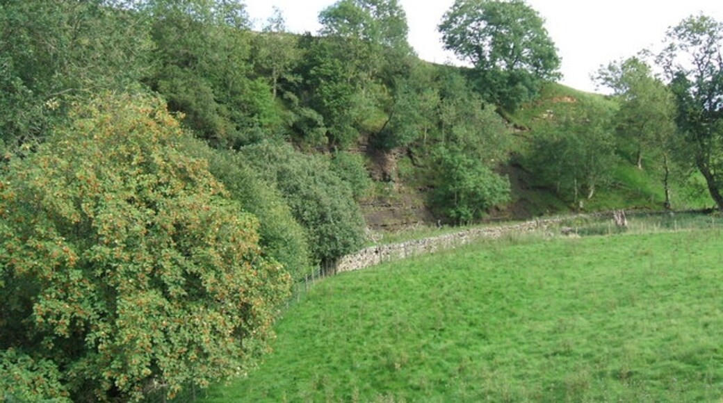 Photo "Kaber" by David Brown (CC BY-SA) / Cropped from original