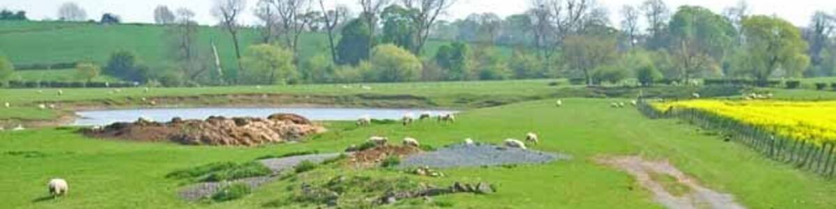 Photo "West Farm Lake, Stillington. A fishing lake. For details see http://freespace.virgin.net/r.spencer/Venues/Durham/westfarmlake.htm" by Oliver Dixon (Creative Commons Attribution-Share Alike 2.0) / Cropped from original
