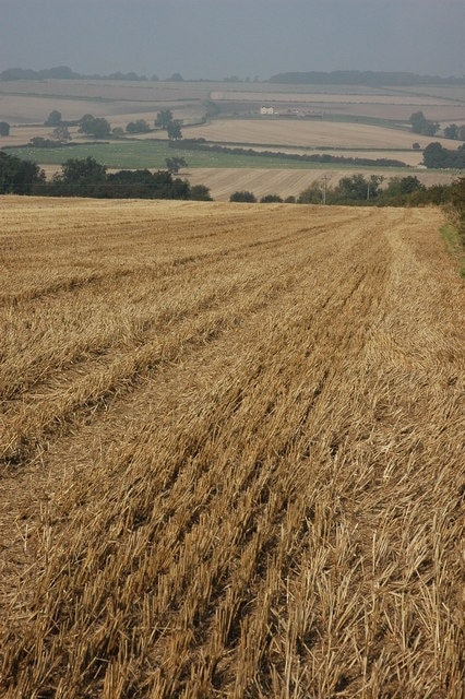 Photo "Chilson" by Philip Halling (CC BY-SA) / Cropped from original