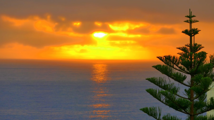 Photo "Canarian Sunrise" by Rolf Dietrich Brecher (Creative Commons Attribution-Share Alike 2.0) / Cropped from original