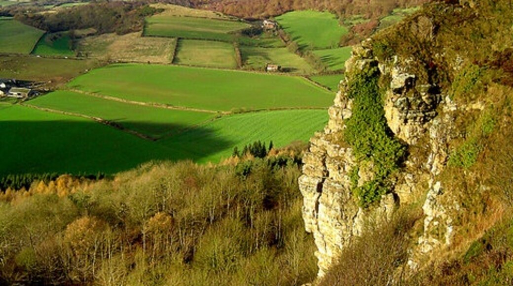 Billede "Kilburn High and Low" af Scott Rimmer (CC BY-SA) / beskåret fra det originale billede