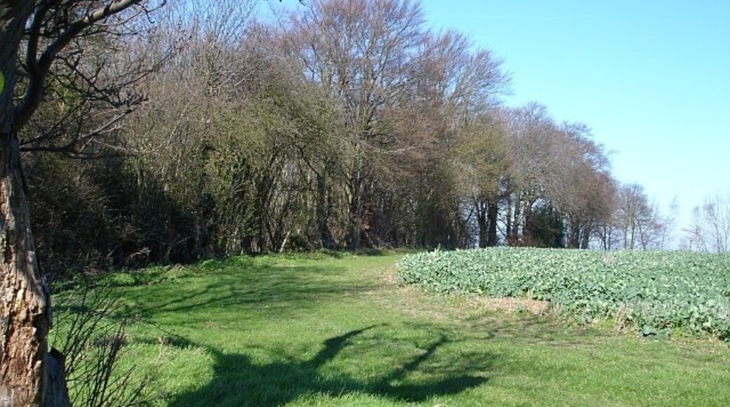 Photo "Bredgar" by Penny Mayes (CC BY-SA) / Cropped from original