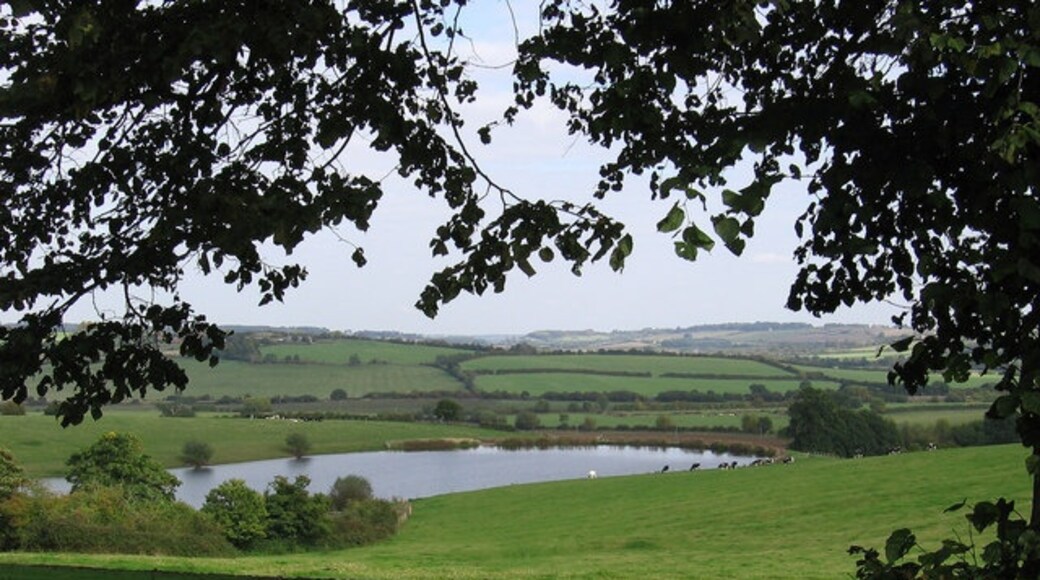 Photo "Chilton" by Christina Burford (CC BY-SA) / Cropped from original