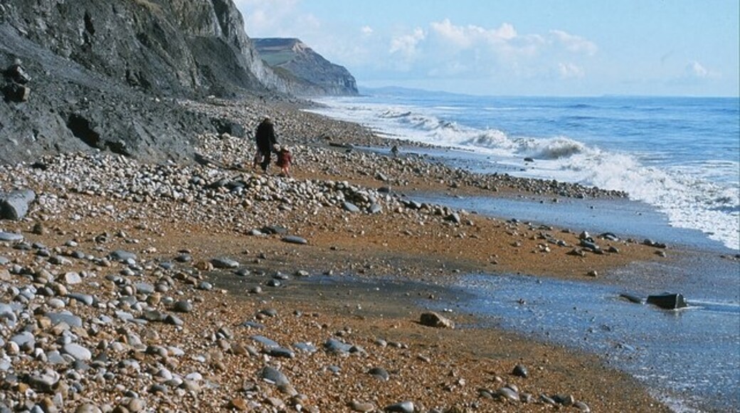 Derek Harper (CC BY-SA) 的「查茅斯海灘」相片 / 由原圖裁切