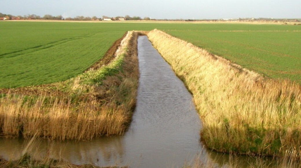 Billede "Skeffling" af Andy Beecroft (CC BY-SA) / beskåret fra det originale billede