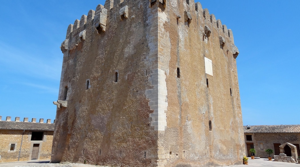 Bildet «Torre de Canyamel» tatt av Oltau (CC BY) / originalbilde beskjært