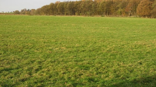 Ảnh "Làng Akebar" của Roger Gilbertson (CC BY-SA) / Cắt từ ảnh gốc