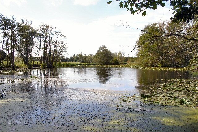 Drinkstone Park lake. Viewed from the bridge on Park Road.