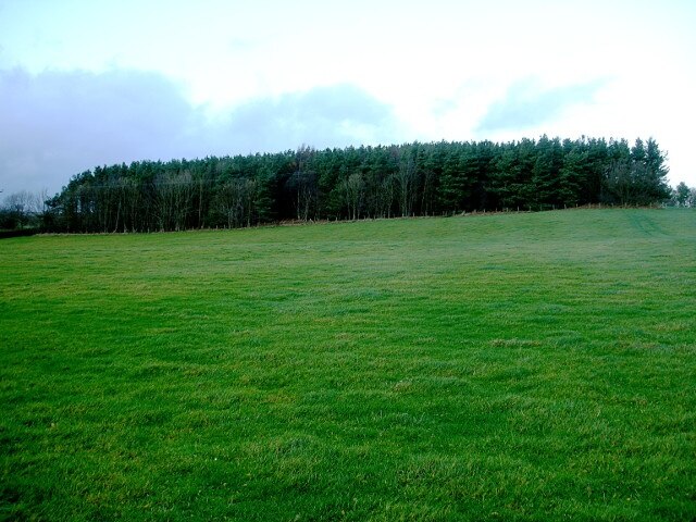 Photo "Streatlam and Stainton" by Andy Waddington (CC BY-SA) / Cropped from original