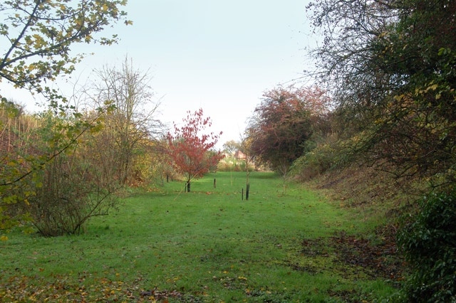 Kuva ”Radford Semele” käyttäjältä Andy F (CC BY-SA) / rajattu alkuperäisestä kuvasta