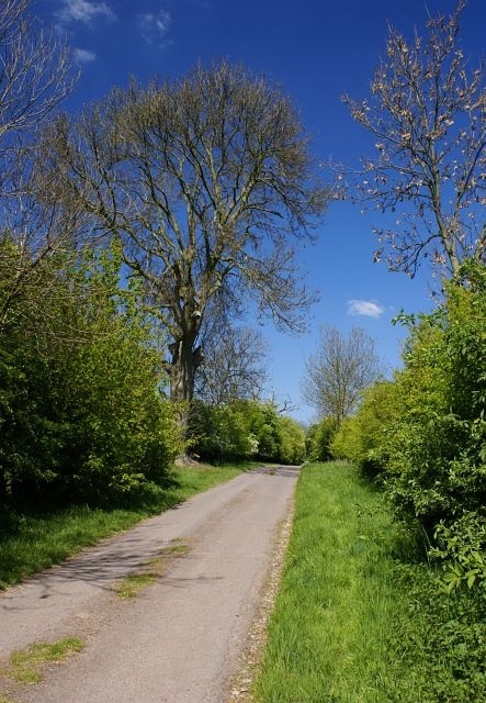 Meadow Lane near Woodhouses The lane is single track and unsuitable for heavy goods vehicles. Didn't stop me meeting one though!