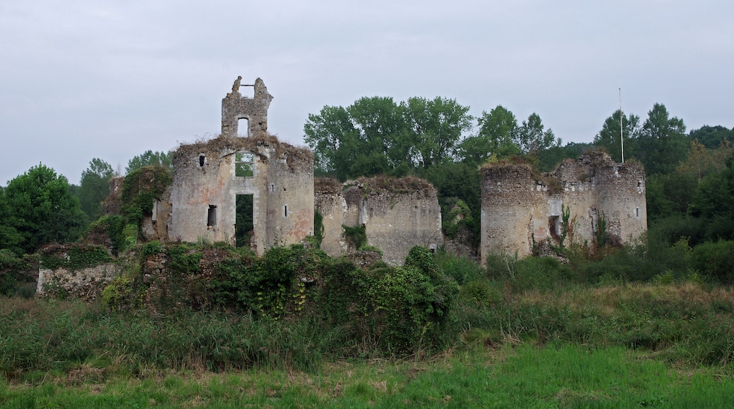 Photo "Chateau-la-Valliere" by Daniel Jolivet (CC BY) / Cropped from original