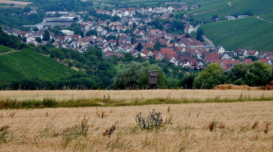 Photo "Schanbach" by qwesy qwesy (CC BY) / Cropped from original