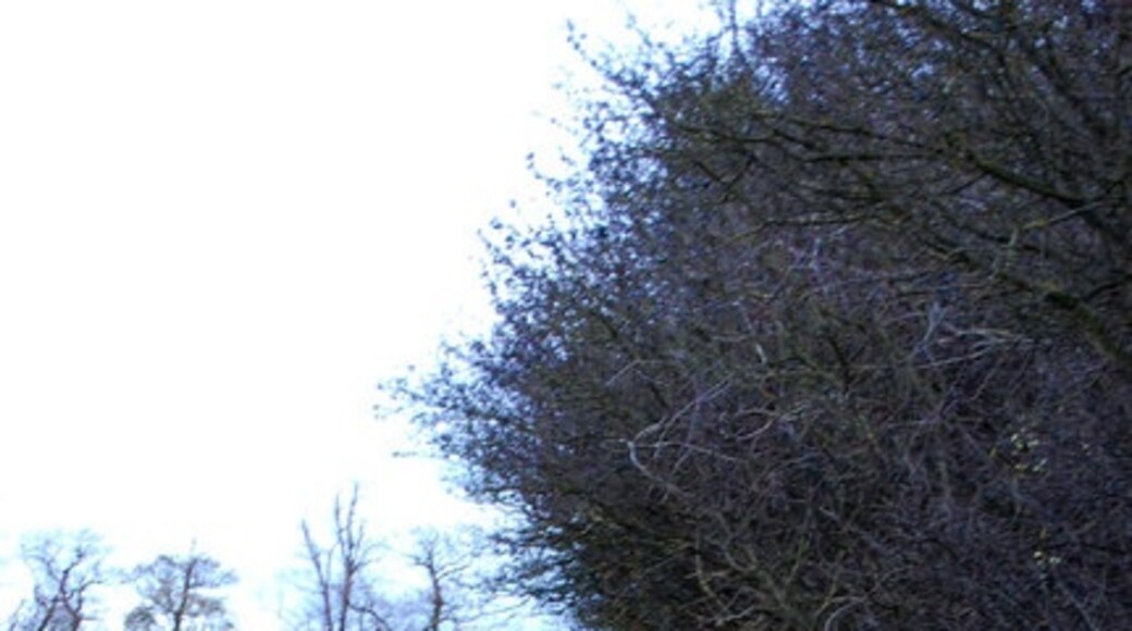 Foto "Langham" de John Myers (CC BY-SA) / Recortada do original