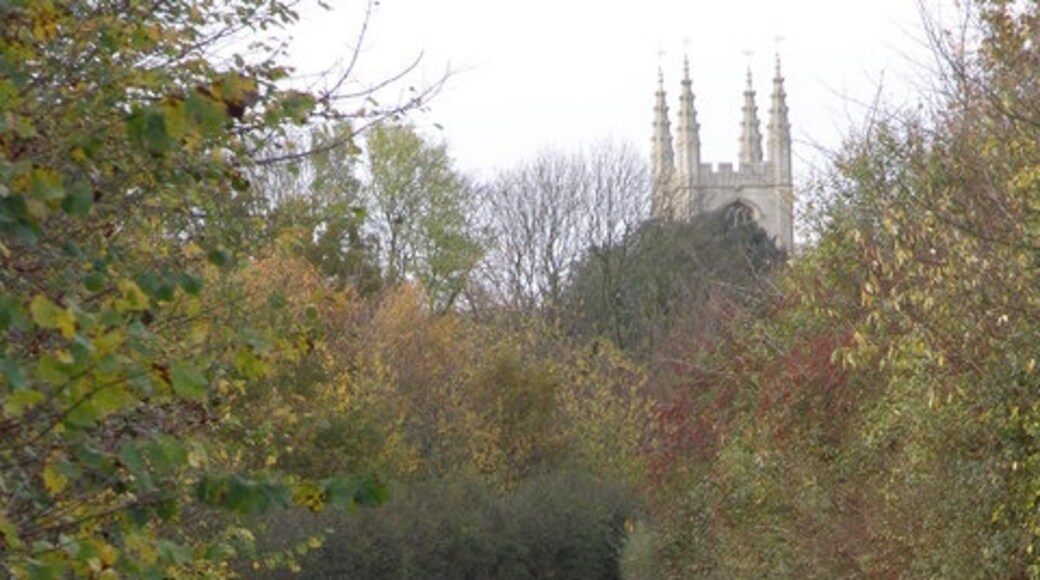 Foto “Conington” tomada por Michael Trolove (CC BY-SA); recorte de la original