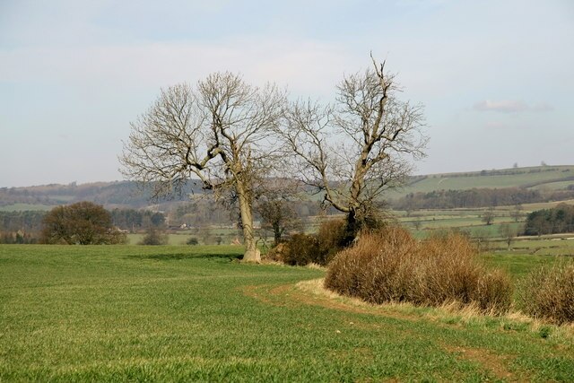 Ảnh "Marton-cum-Moxby" của David Rogers (CC BY-SA) / Cắt từ ảnh gốc