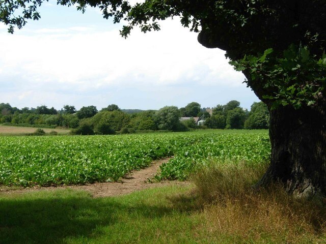 Foto "Hunston" de Stephen McKay (CC BY-SA) / Recortada do original