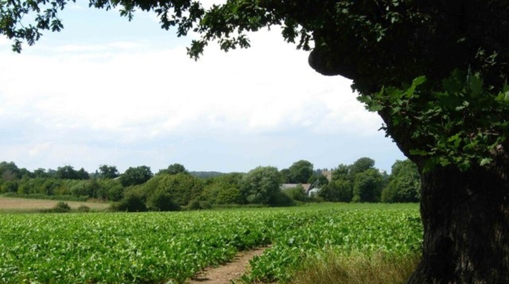 Foto "Hunston" de Stephen McKay (CC BY-SA) / Recortada do original