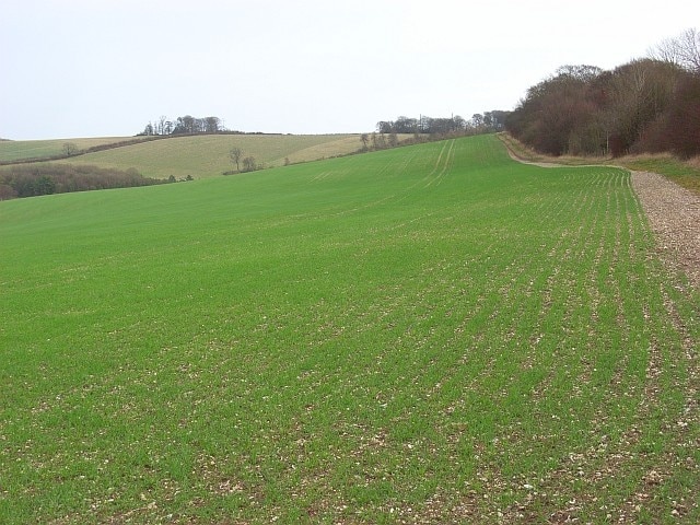 Farmland, Swyncombe Downs The view from the footpath junction near the western end of the down. Britwell Hill is in the distance.