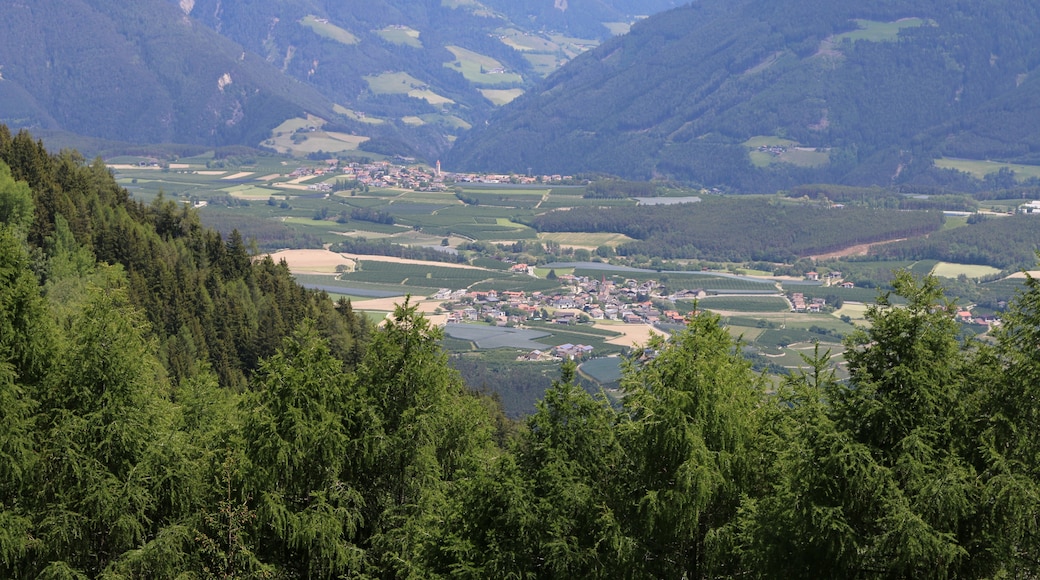 Foto "Riga Davanti" por SBT (CC BY-SA) / Recortada de la original