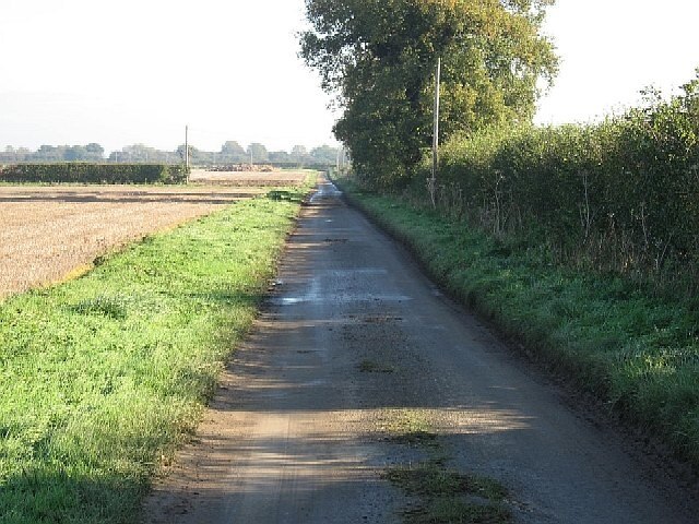 Kuva ”Ashill” käyttäjältä Roger Gilbertson (CC BY-SA) / rajattu alkuperäisestä kuvasta