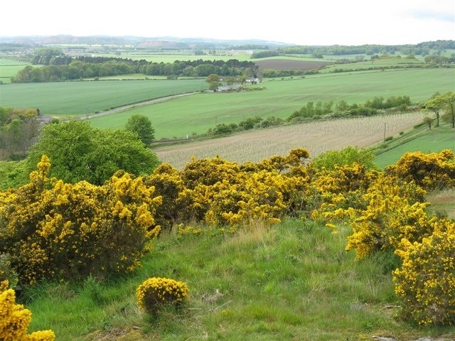 Farmland at Carlowrie Farm From Craigie Hill fort, looking over some newly planted trees and cereals to the trees of Pepper Wood Wildlife Reserve and along the old Kirkliston-Queensferry railway line, now a footpath.