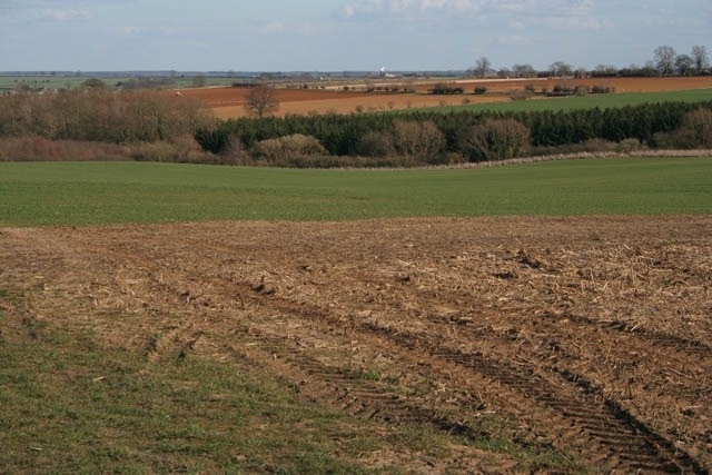 Farmland near Glaston. Looking towards Morcott. The Glaston railway tunnel runs underneath this farmland just about were I was standing, see 207190. 198866 can just be seen on the horizon.