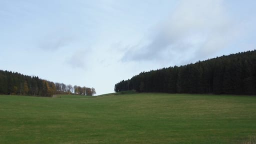 Photo "Oberhenneborn" by Robert Harvey on geo.hlipp.de (CC BY-SA) / Cropped from original