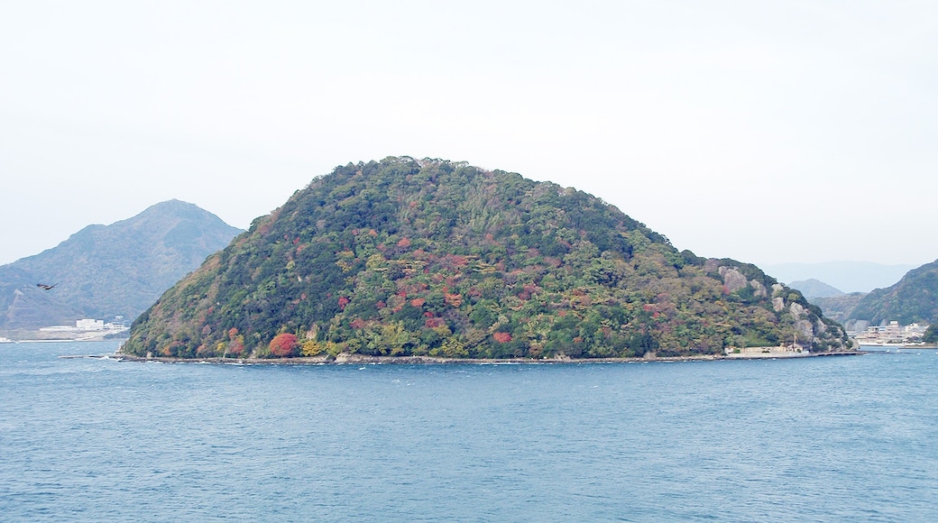 Island of ja:Awashima is located in Numazu city in Shizuoka prefecture, Japan.