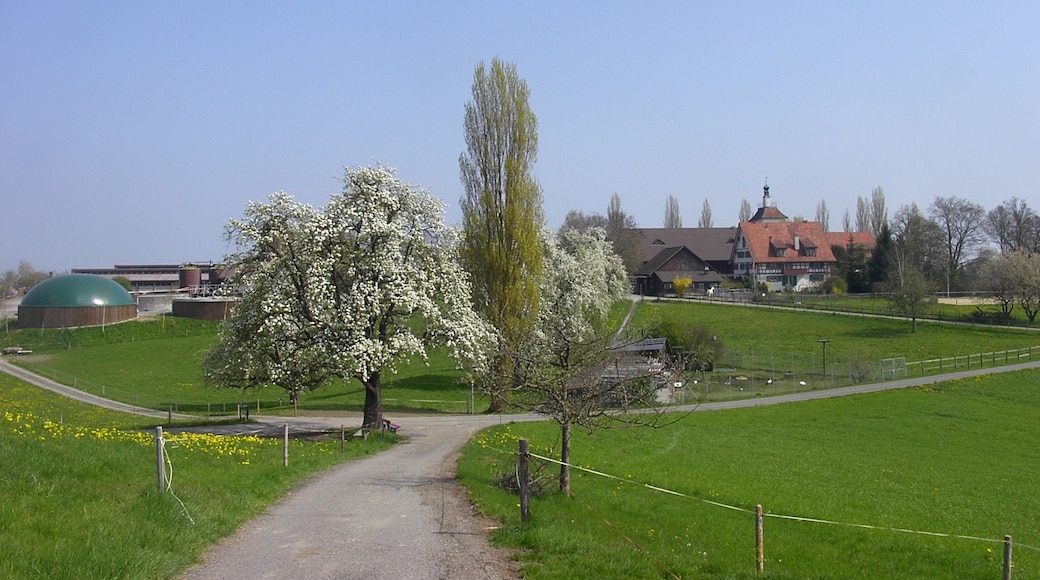 Photo "Morschwil" by Rene Nueesch (CC BY) / Cropped from original