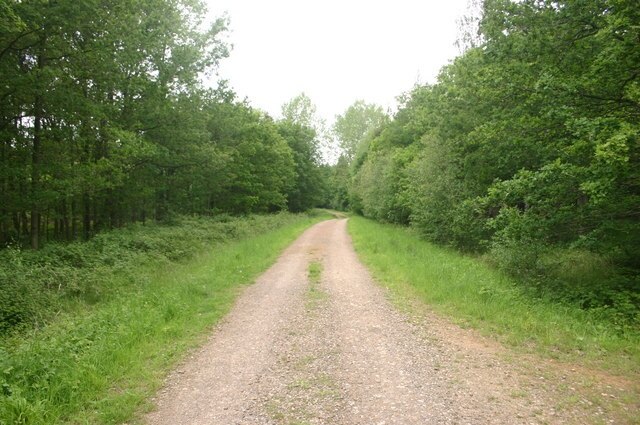 Photo "Oakley" by Shaun Ferguson (CC BY-SA) / Cropped from original