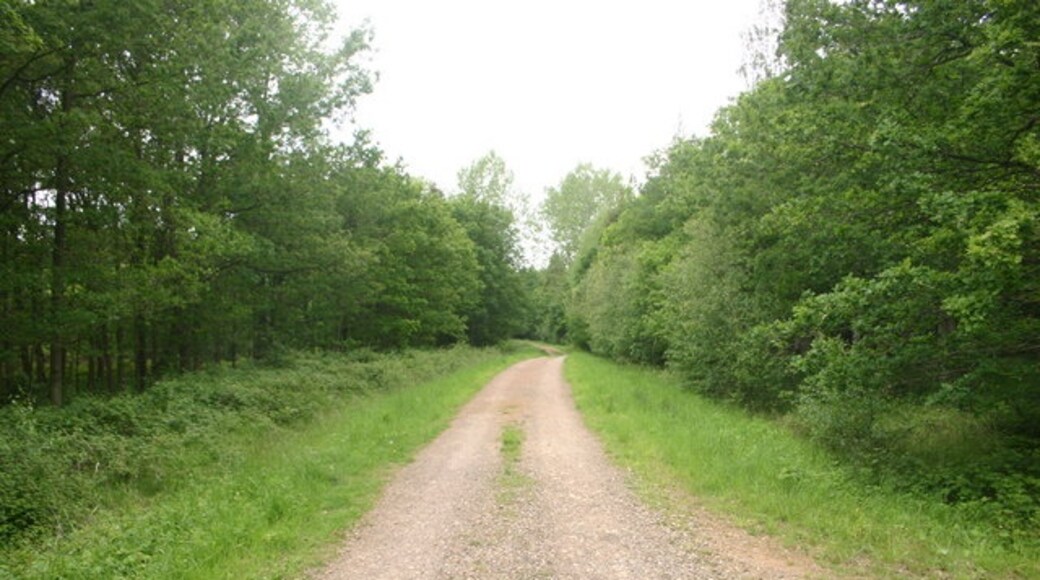 Foto „Oakley“ von Shaun Ferguson (CC BY-SA)/zugeschnittenes Original