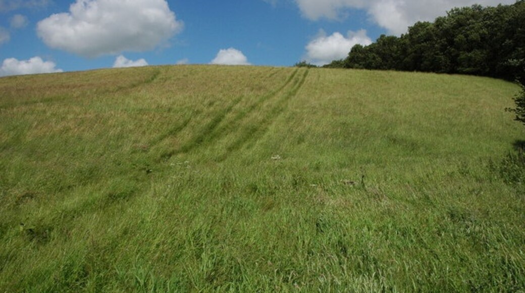 Photo "Boxwell with Leighterton" by Philip Halling (CC BY-SA) / Cropped from original